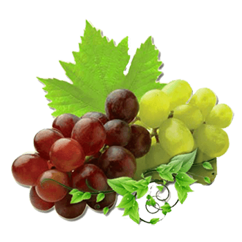 Grapes