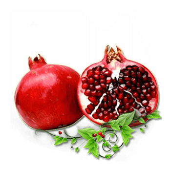 Pomegranate